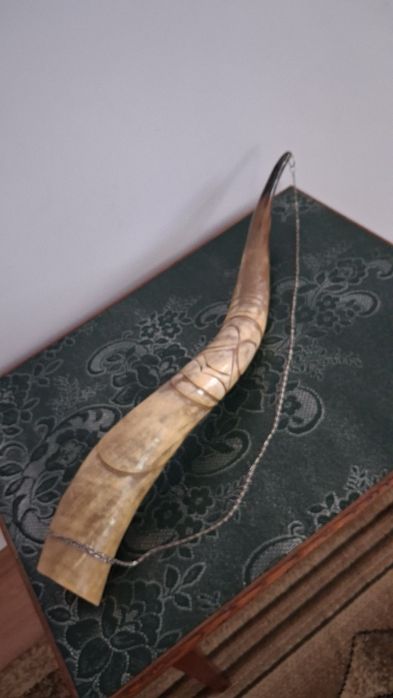 Рог изобилия большой