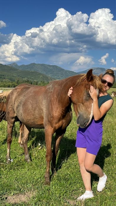 Кобыла 6 лет. Обучена вкруг