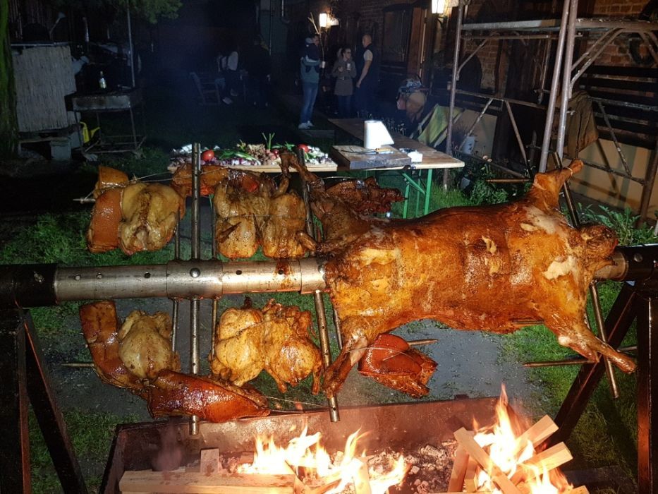 Protap rotisor animale - vitel purcei miei nunti botezuri evenimente