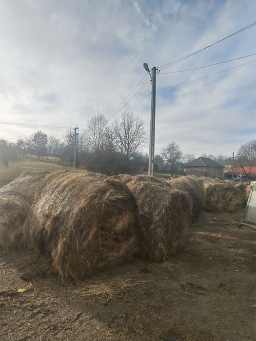 Baloti FAN 2025 ofer transport la cerere 160x120