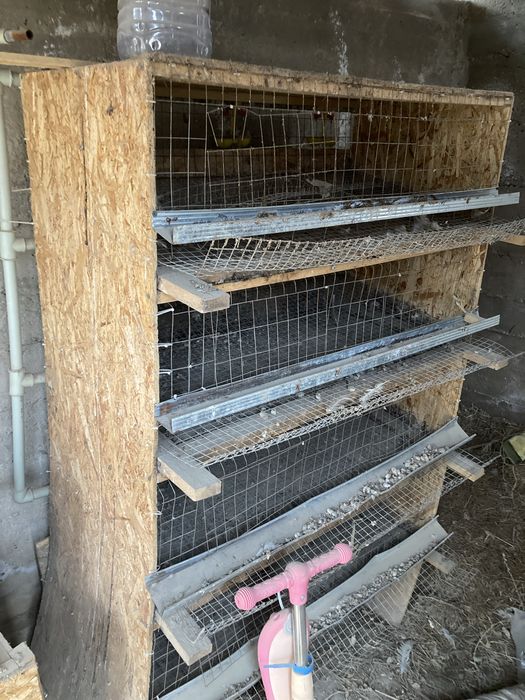 Сатылады инкубатор брудер клетка