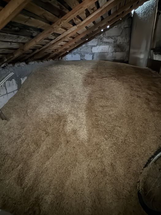 Vând ovaz calitate extra