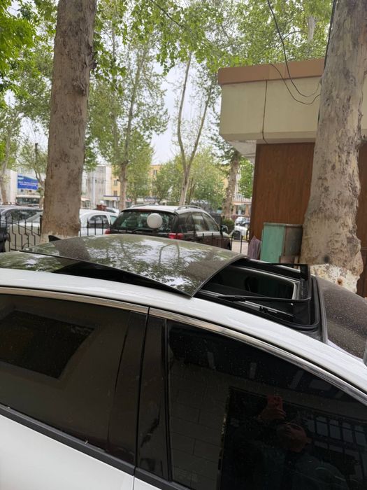 Kia k 5 2022 yili oq.
