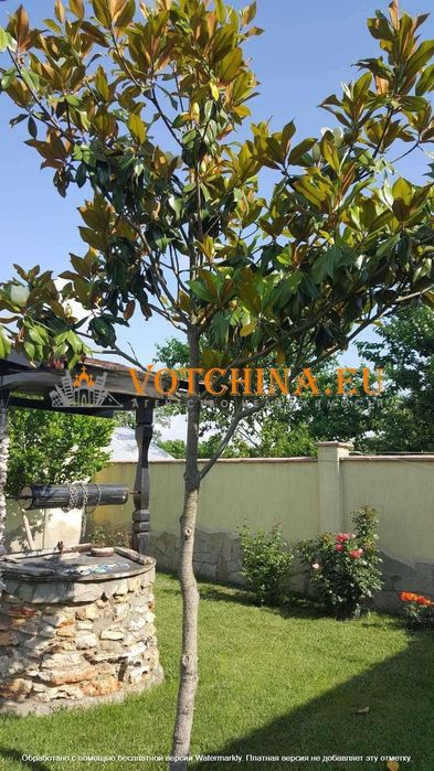 Продава се Къща в с. Езерец, Област Добрич - 150 кв.м за 1374 €/кв.м - Снимка #5