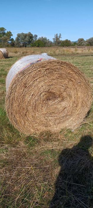 Сено рулонни бали, слама!