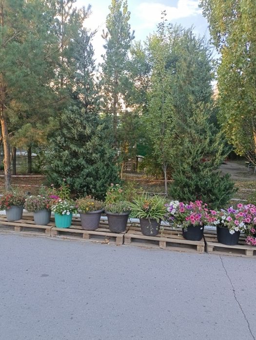 Сдам 2 х уровневую квартиру