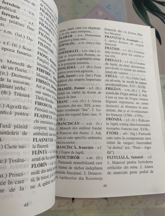 Veronica Leoveanu-Dictionar de arhaisme si notiuni istorice