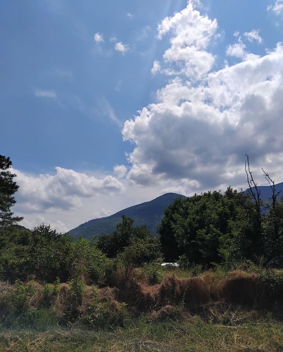 Продава се Парцел в с. Сапарево, Област Кюстендил - 700 кв.м за 53 €/кв.м - Снимка #3