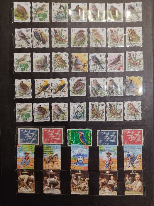 Почтовые марки. Альбом "Птицы".