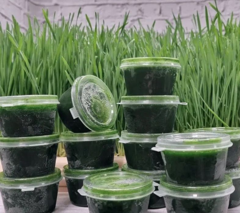 Витграсс. Всегда в наличии