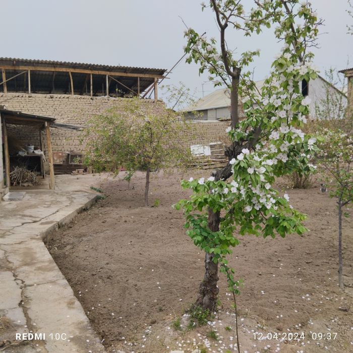 Фергана горд ул Мустакиллик 222а