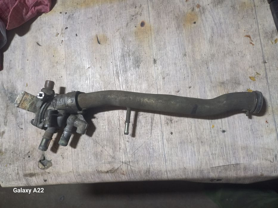 Трупка обвадная взборе