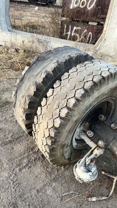 Баллоны 12.00, камеры 12, флиппер