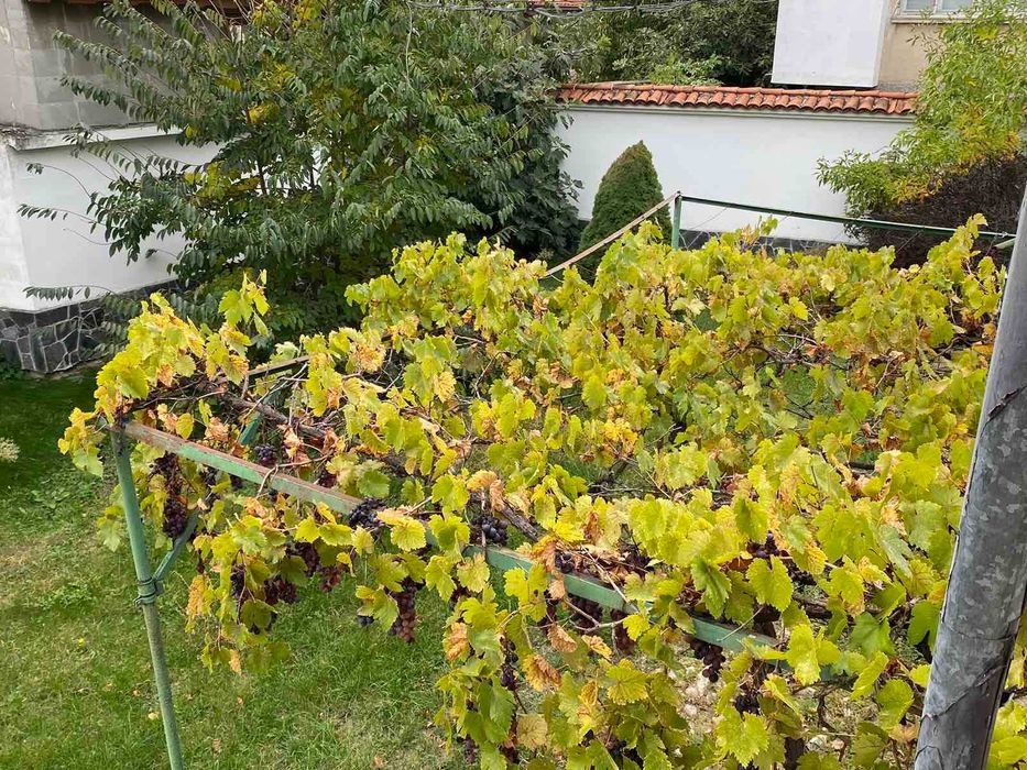 Продава се Къща в Карлово - 290 кв.м за 1276 €/кв.м - Снимка #13