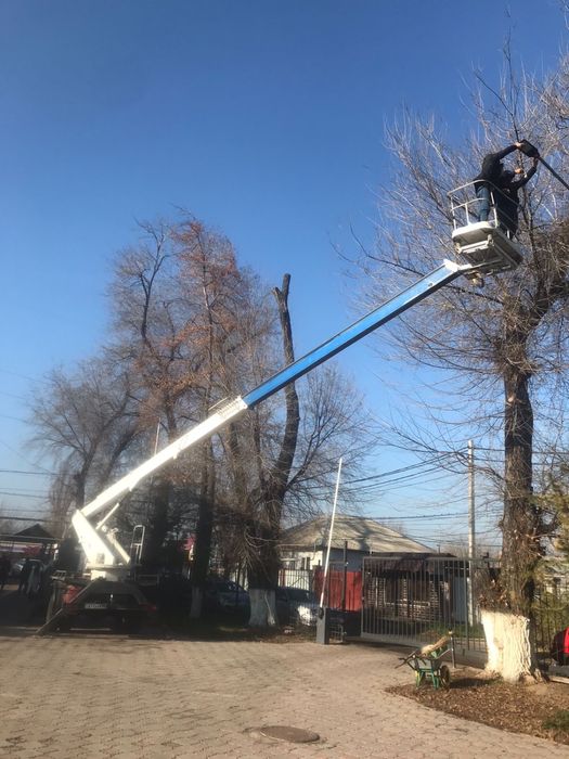 Услуги автовышки