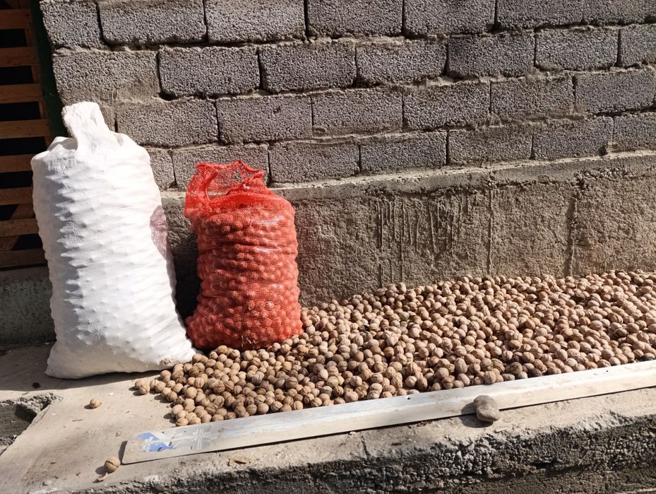 Орехи домашние срочно