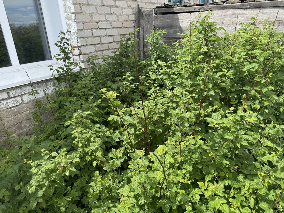 Продам Дом п.Васильковка