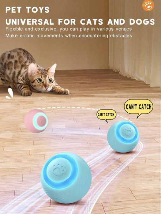 Jucarii pisici/caini