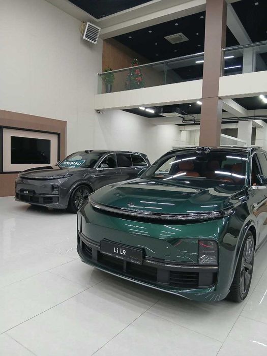 Lixiang Li 9 Ultra green, black цвет салон new brown 3 года гарантия