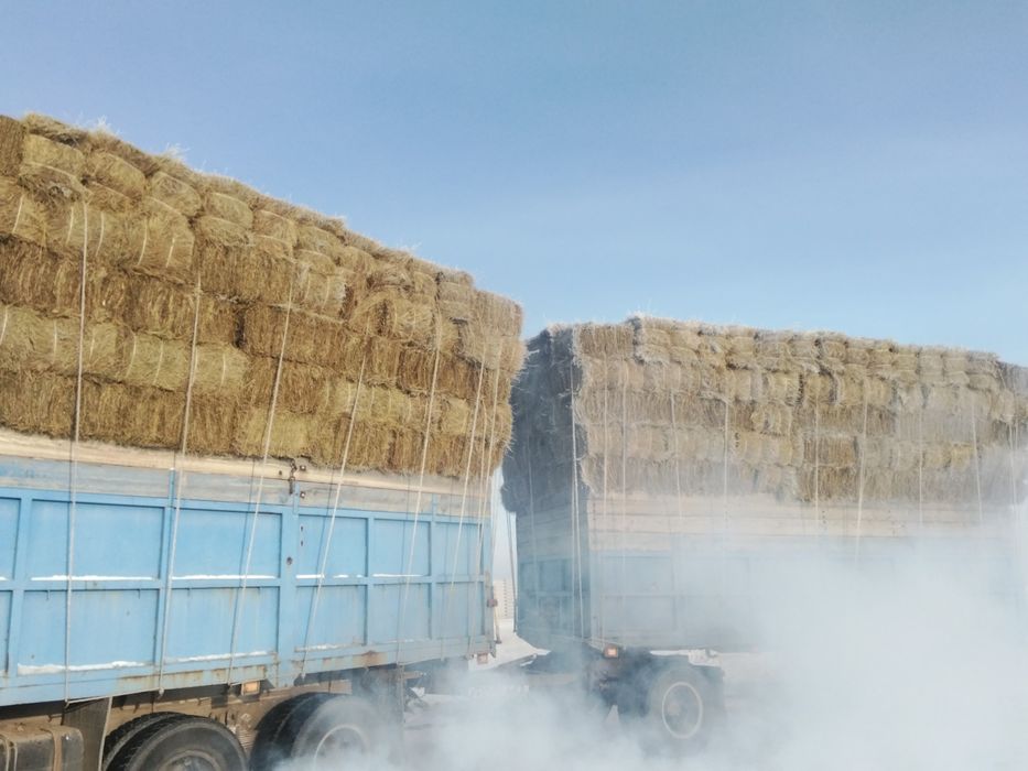 Продам сено тюковое