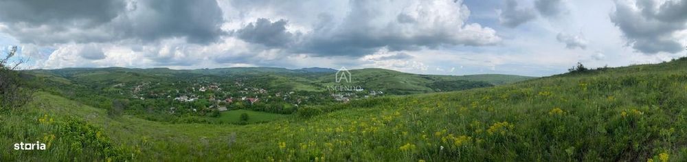 Domeniu 15.900 mp în Fințești | Casă + Investiție Dealu Mare