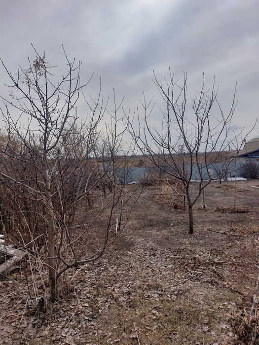 Продам дачу 1 общество