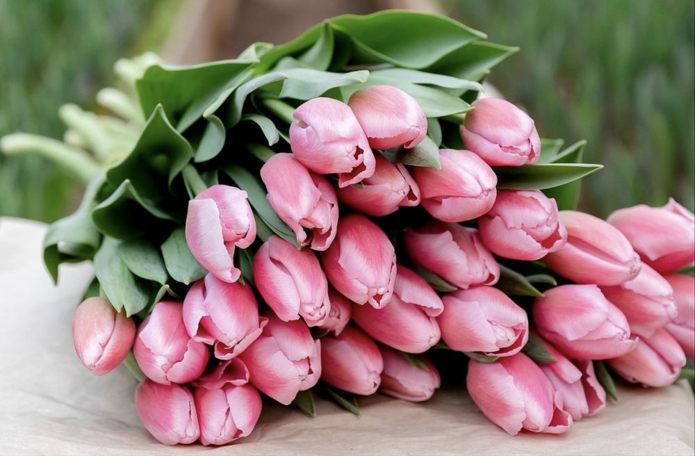 Свежие тюльпаны в наличии