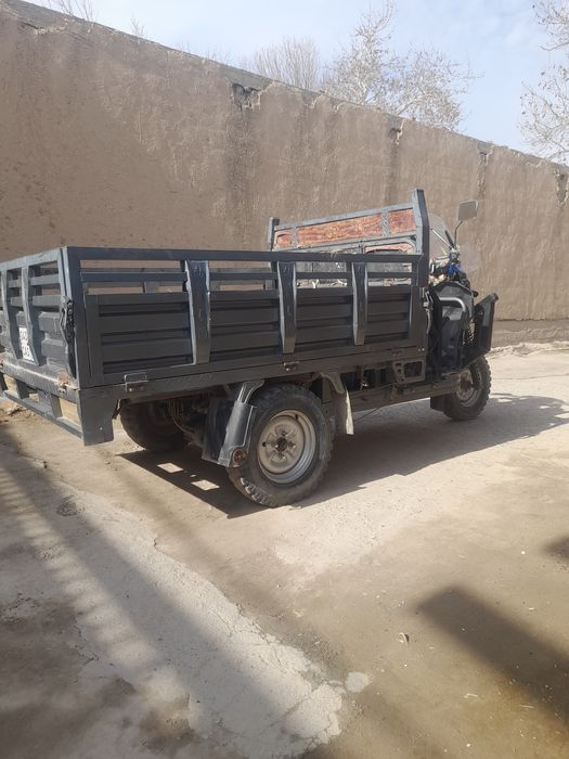 Продается муравей