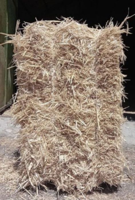 Сомон прес той samon (Dastavka) Беда Камич Qamish Qamich Bardon somon