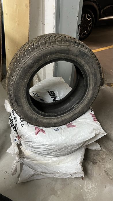 Зимние шины 4шт  Triangle