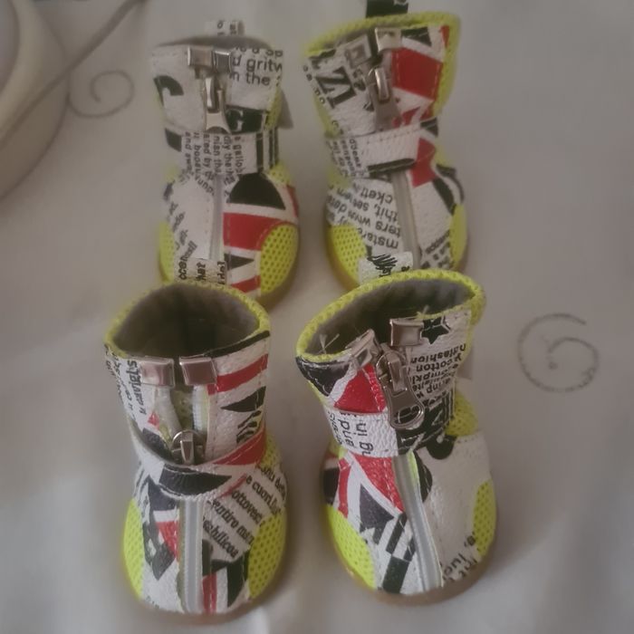 Новая обувь для собаки