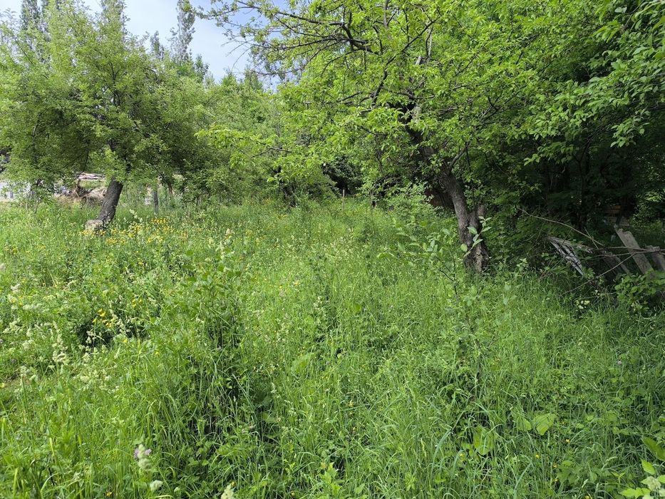 Namangan viloyati NANAYDA yer maydoni 7.5 sotih