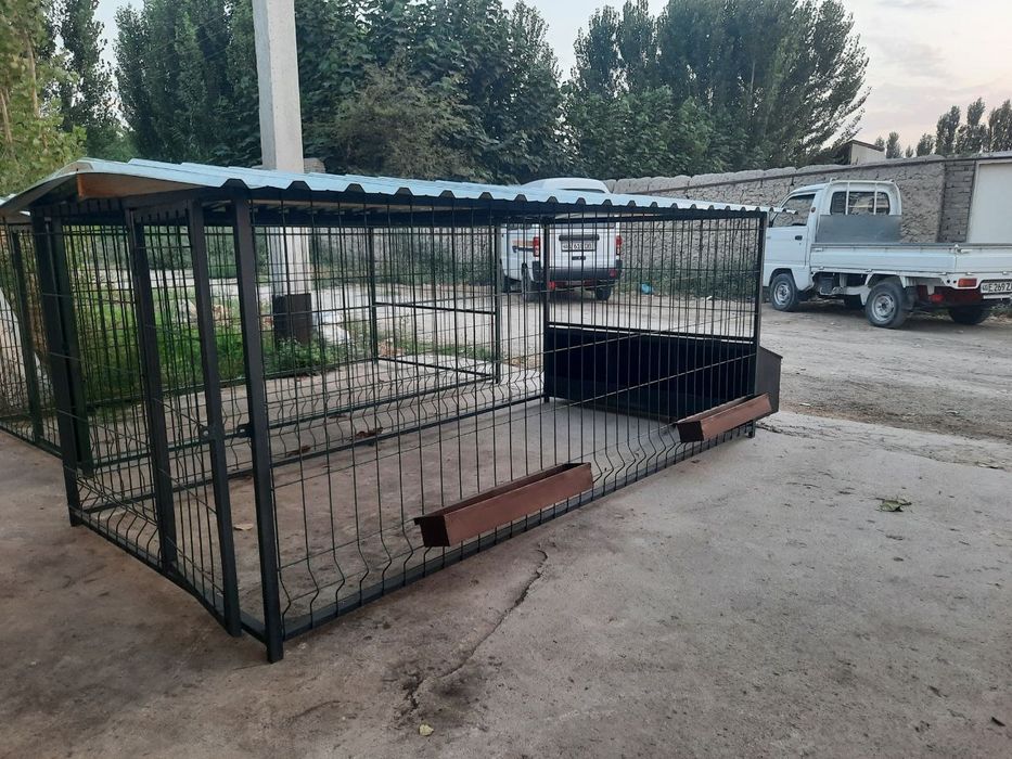 Tovuq kataklar mustahkam