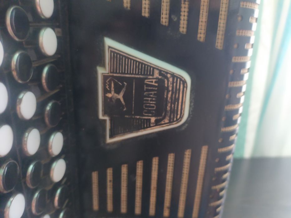 Продам Боян,марка соната