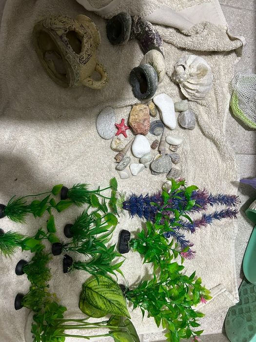 Vand acvariu cu colțuri rotunde dotat