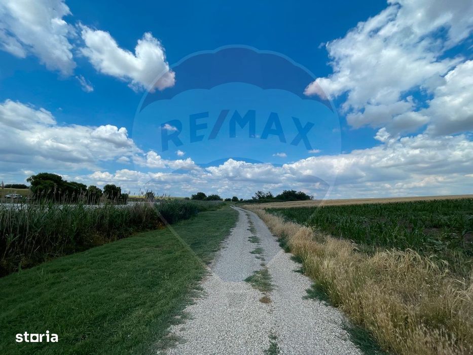 Teren 4.350 mp Balta Pasarea - 30 minute Bucuresti