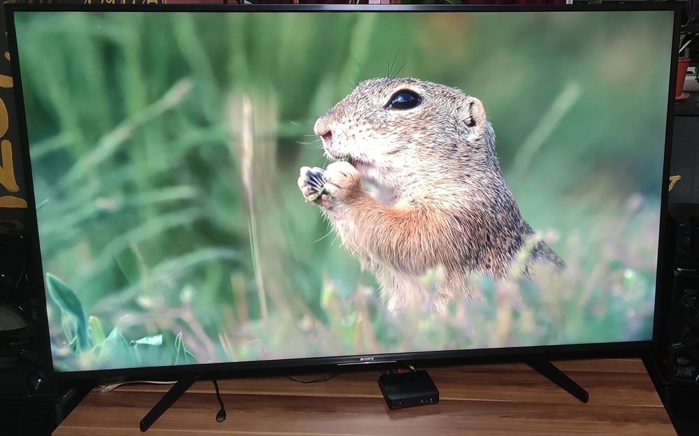 Телевизор Sony KD65XG7096