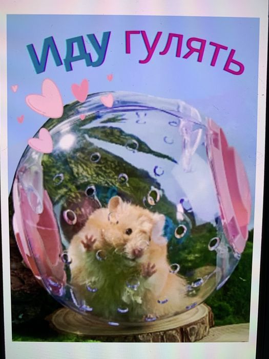 Уютный домик для  хомячка,   для кошек и собачек