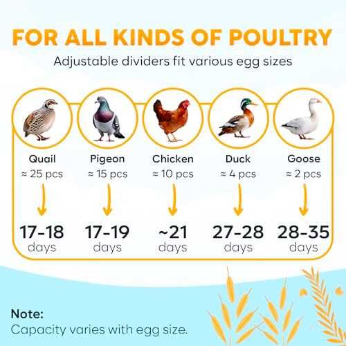 Okkobi M10 автоматичен инкубатор за 10 яйца с контрол на влажност