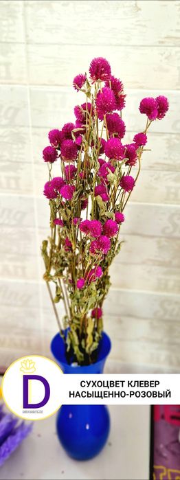Сухоцветы стабил.цветы