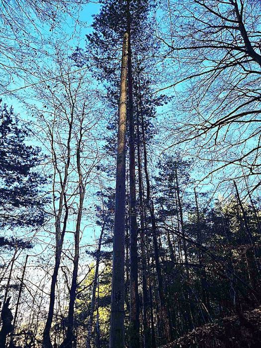 Земеделска земя 1 757 кв.м до последните къщи на Бойково – местност Ф