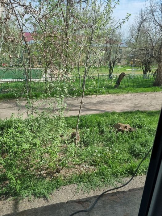 kvartira 2 xonali 1- etaj ijaraga beriladi Gorparkda