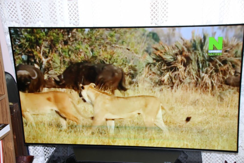 Smart TV OLED LG 4K - 139/55