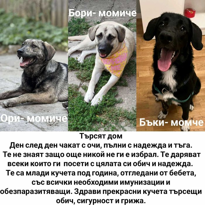 Куче 2 момичета и момче