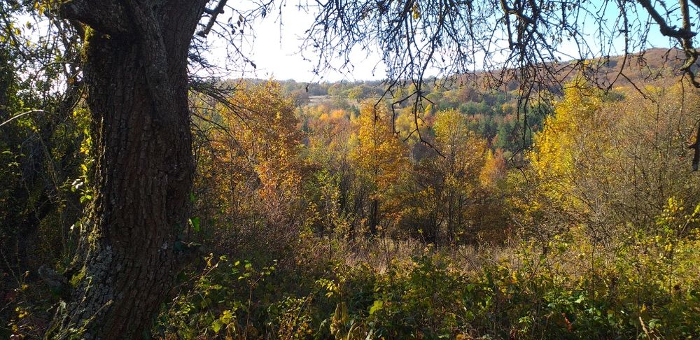 Продава се Парцел в с. Мечковци, Област София-област - 1248 кв.м за 6 €/кв.м - Снимка #4