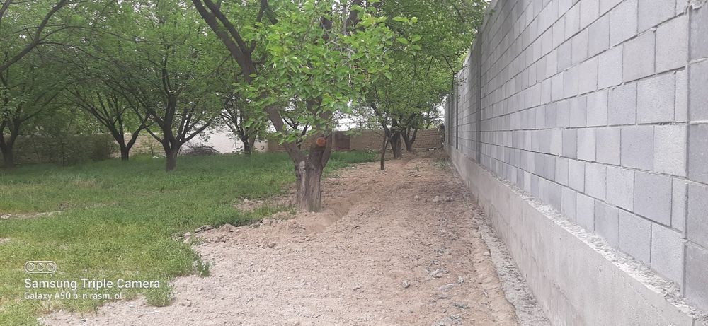 xususiy yer uchaskasi sotiladi