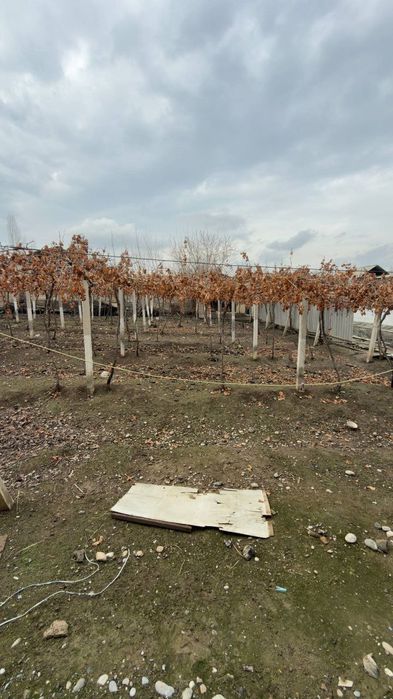 7 сотих ер сотилади