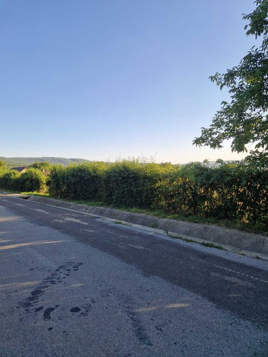 Vand teren intravilan Ciurea