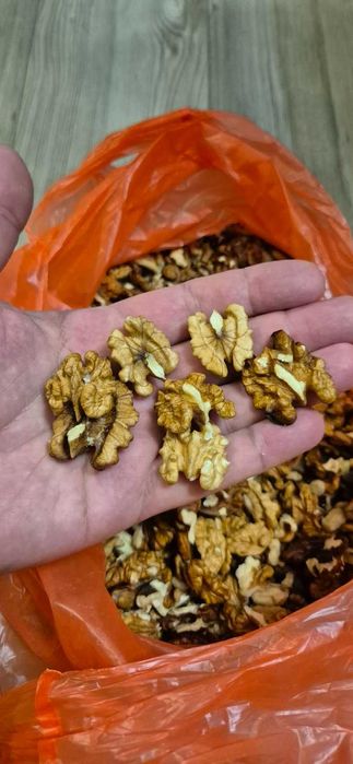 Орехи ядки реколта 2025