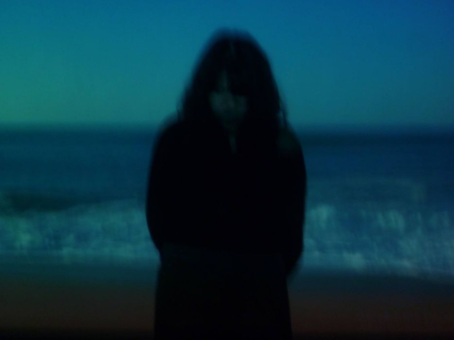 цифровая видеокамера sony